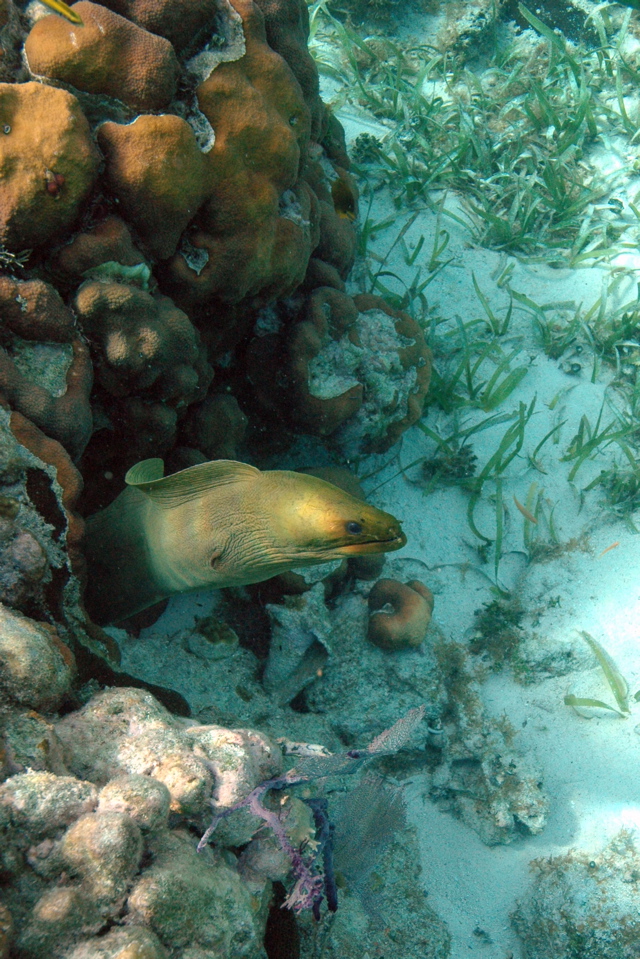 DSC_0085.JPG