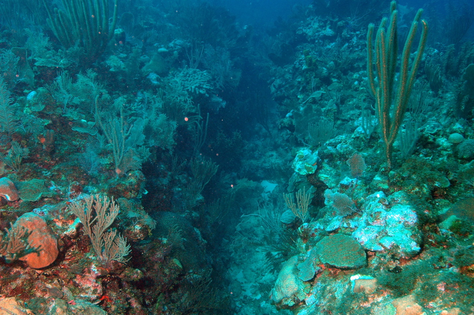 DSC_0186.JPG