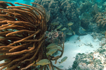 DSC_0077.JPG