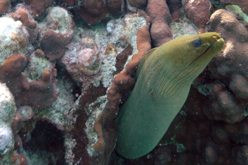DSC_0084.JPG
