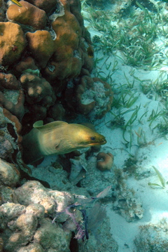 DSC_0085.JPG