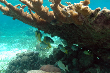 DSC_0089.JPG