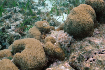 DSC_0097.JPG