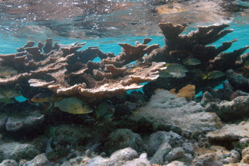 DSC_0103.JPG