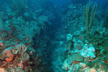 DSC_0186.JPG