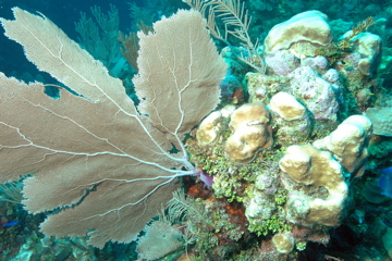 DSC_0188.JPG