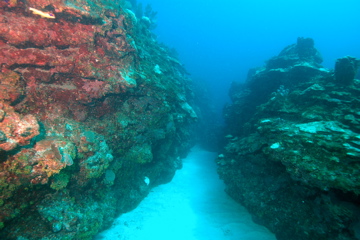 DSC_0210.JPG