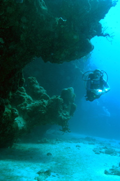 DSC_0007.JPG