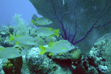 Img0150
