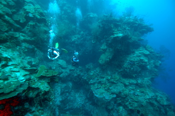 DSC_0010.JPG