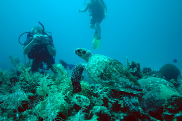 DSC_0060.JPG
