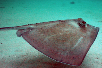 DSC_0114.JPG