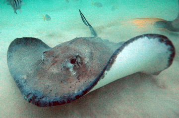 DSC_0155.JPG