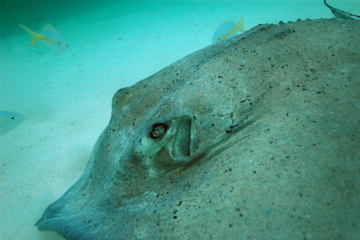 DSC_0210.JPG