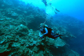 DSC_0005.JPG