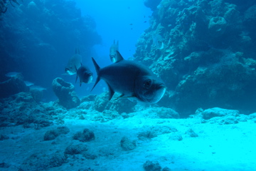 DSC_0032.JPG
