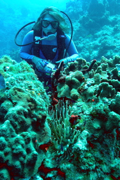 DSC_0064.JPG