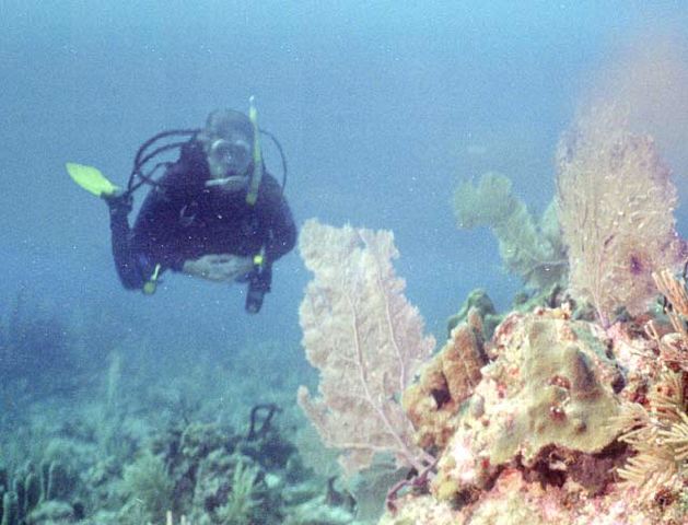 2817-01.jpg