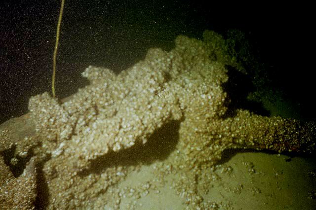 Frame04.jpg