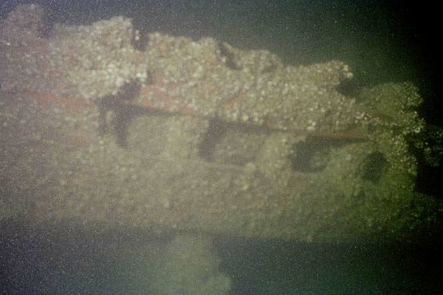Frame10.jpg