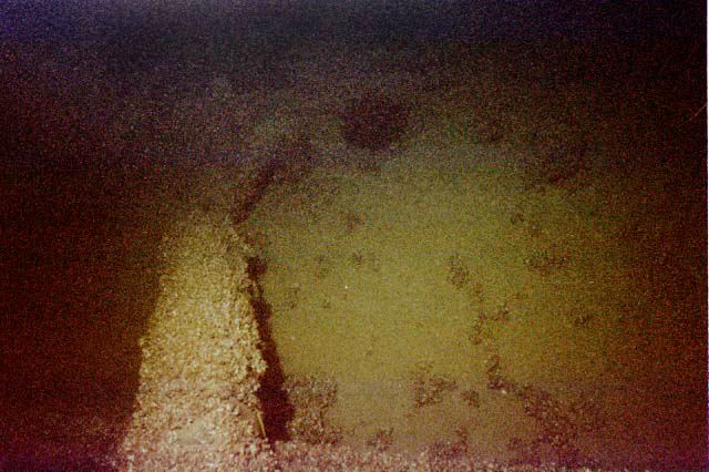 Frame12.jpg
