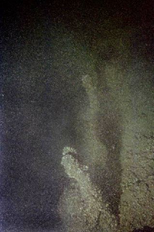 Frame19.jpg