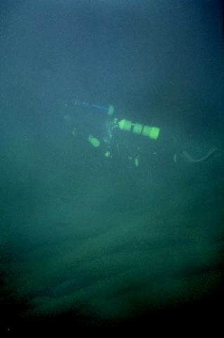 Frame10.jpg