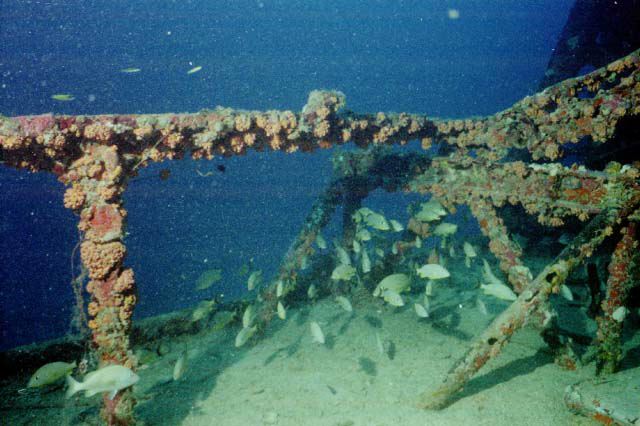 2815-04.jpg