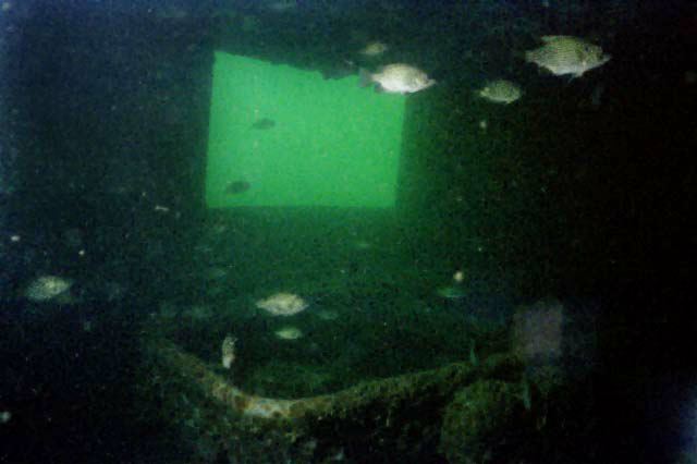 3023.03A.jpg